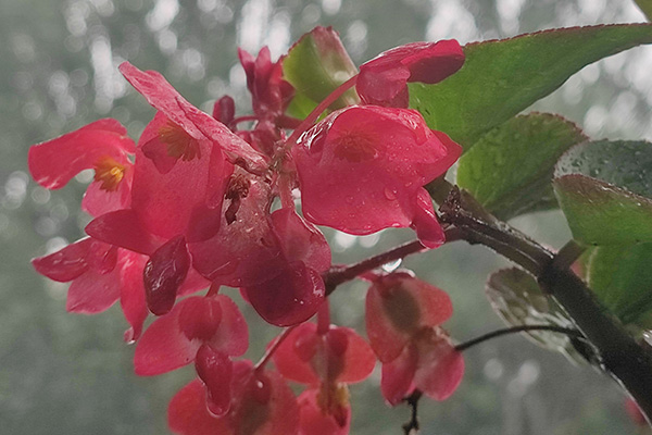 ?沈陽(yáng)墓園前十位墓地公墓推薦觀陵山墓園：生態(tài)修復(fù)方法的探索與實(shí)踐