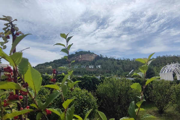 沈陽龍福山墓園